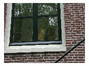 thumbnail23
