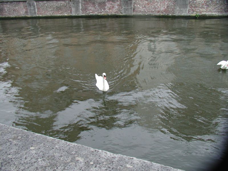 Click to see next picture