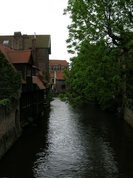 Click to see next picture