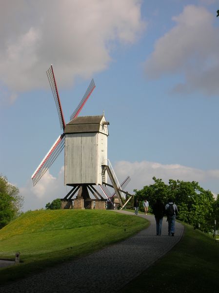 Click to see next picture